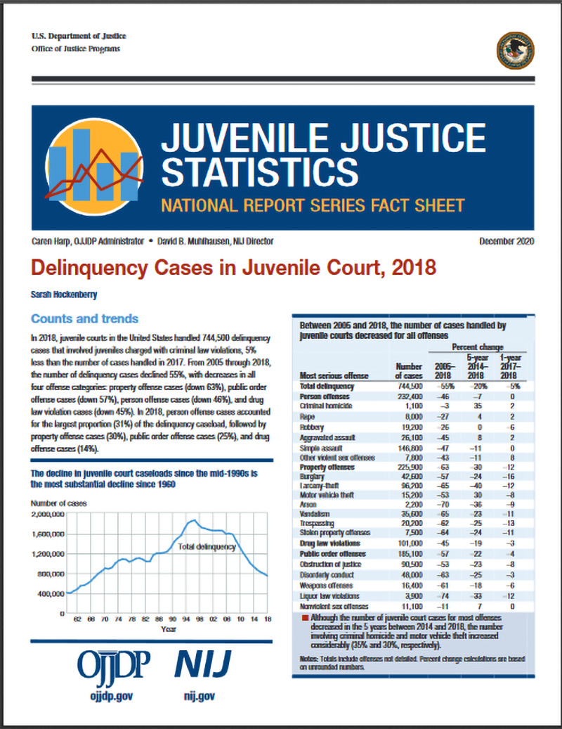 Thumbnail of Delinquency Cases in Juvenile Court, 2018