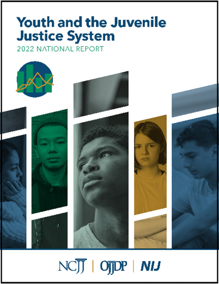 Thumbnail for 2022 National Report, Youth and the Juvenile Justice System 