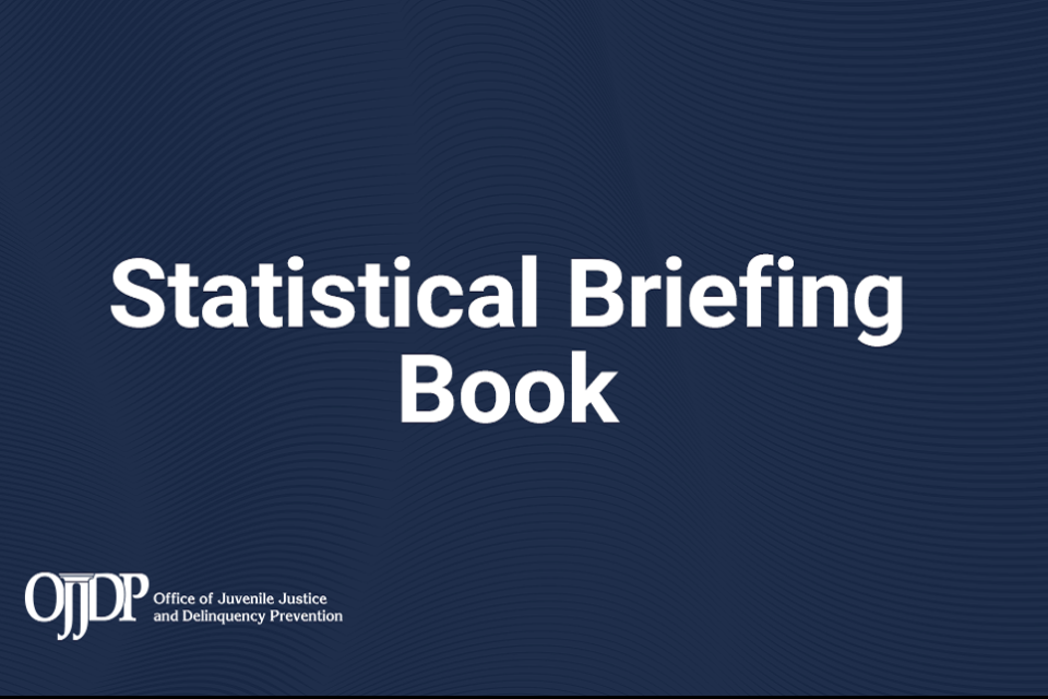 Statistical Briefing Book 