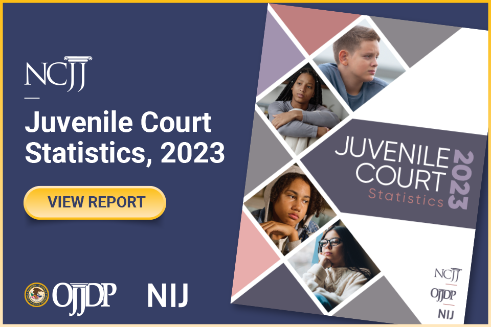 Juvenile Court Statistics 2023 - View Report